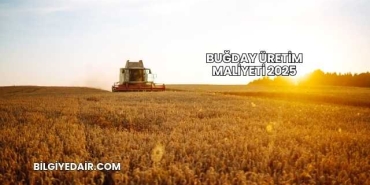 Buğday Üretim Maliyeti 2025