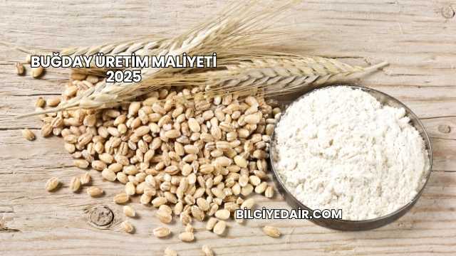 Buğday Üretim Maliyeti 2025