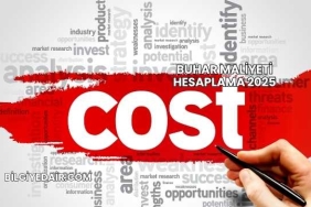 Buhar Maliyeti Hesaplama 2025