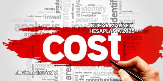 Buhar Maliyeti Hesaplama 2025