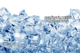 Buz Üretim Tesisi Maliyeti 2025