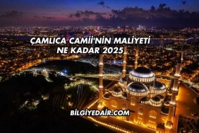 Çamlıca Camii'nin Maliyeti Ne Kadar 2025