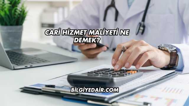 Cari Hizmet Maliyeti Ne Demek?