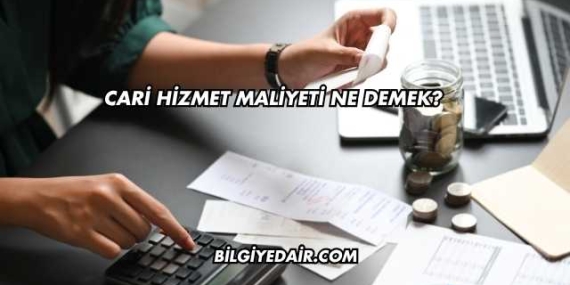 Cari Hizmet Maliyeti Ne Demek?