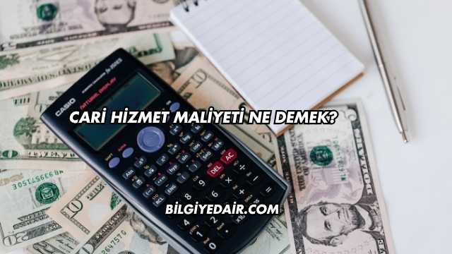 Cari Hizmet Maliyeti Ne Demek?