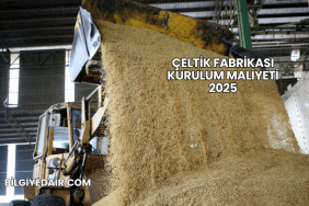 Çeltik Fabrikası Kurulum Maliyeti 2025