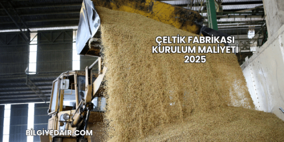 Çeltik Fabrikası Kurulum Maliyeti 2025