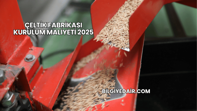 Çeltik Fabrikası Kurulum Maliyeti 2025