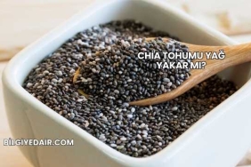Chia Tohumu Yağ Yakar mı?
