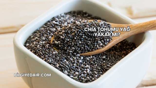 Chia Tohumu Yağ Yakar mı?