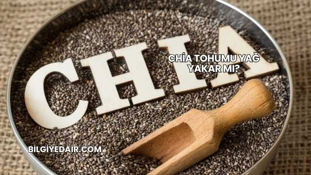 Chia Tohumu Yağ Yakar mı?