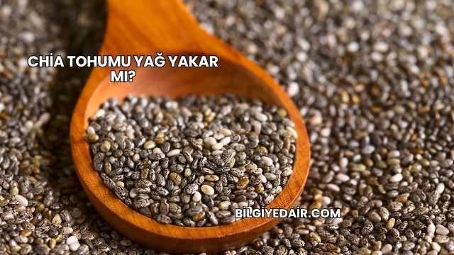 Chia Tohumu Yağ Yakar mı?