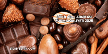 Çikolata Fabrikası Kurma Maliyeti 2025