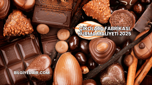 Çikolata Fabrikası Kurma Maliyeti 2025