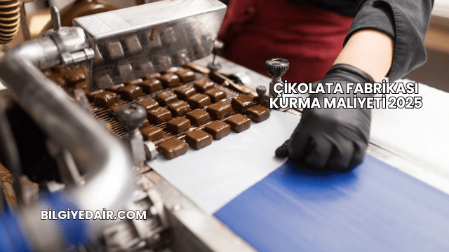 Çikolata Fabrikası Kurma Maliyeti 2025