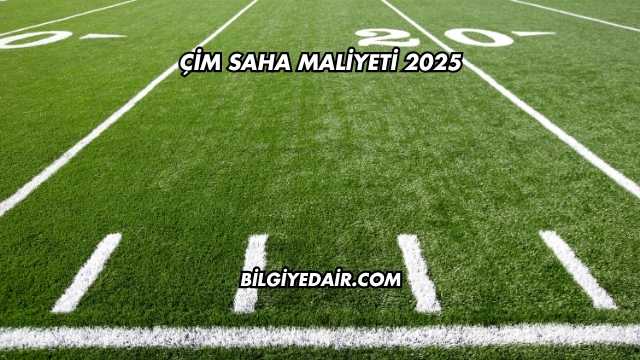 Çim Saha Maliyeti 2025