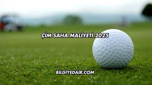 Çim Saha Maliyeti 2025