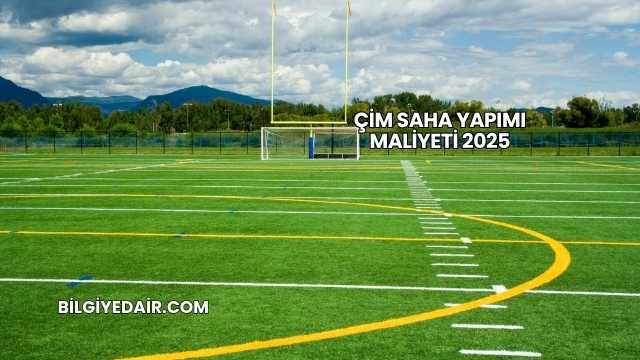 Çim Saha Yapımı Maliyeti 2025