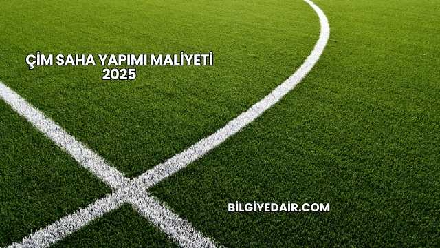 Çim Saha Yapımı Maliyeti 2025