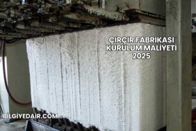 Çırçır Fabrikası Kurulum Maliyeti 2025