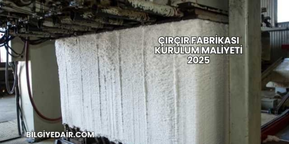 Çırçır Fabrikası Kurulum Maliyeti 2025