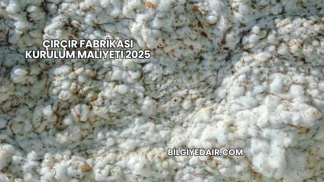 Çırçır Fabrikası Kurulum Maliyeti 2025