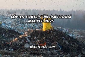 Çöpten Elektrik Üretimi Projesi Maliyeti 2025