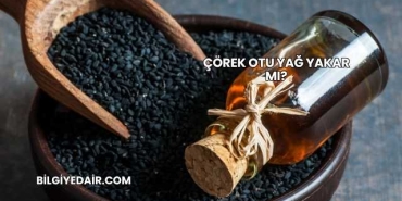 Çörek Otu Yağ Yakar mı?