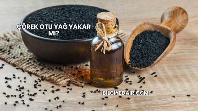 Çörek Otu Yağ Yakar mı?
