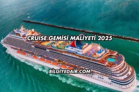 Cruise Gemisi Maliyeti 2025