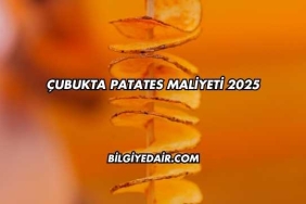 Çubukta Patates Maliyeti 2025