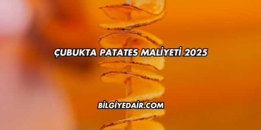 Çubukta Patates Maliyeti 2025