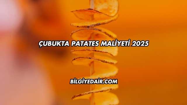 Çubukta Patates Maliyeti 2025