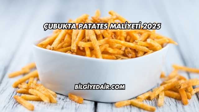 Çubukta Patates Maliyeti 2025