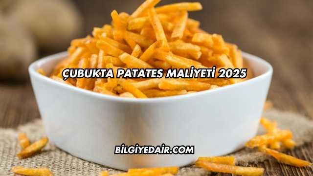 Çubukta Patates Maliyeti 2025