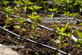 Damlama Sulama Tesisatı Maliyeti 2025