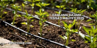 Damlama Sulama Tesisatı Maliyeti 2025