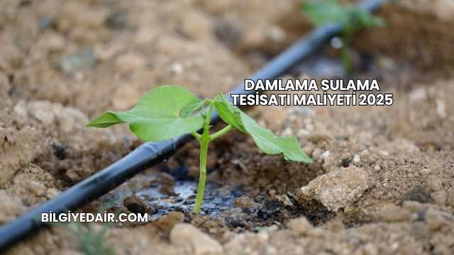Damlama Sulama Tesisatı Maliyeti 2025
