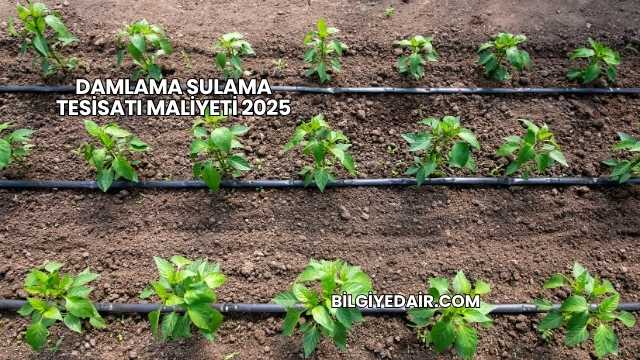 Damlama Sulama Tesisatı Maliyeti 2025
