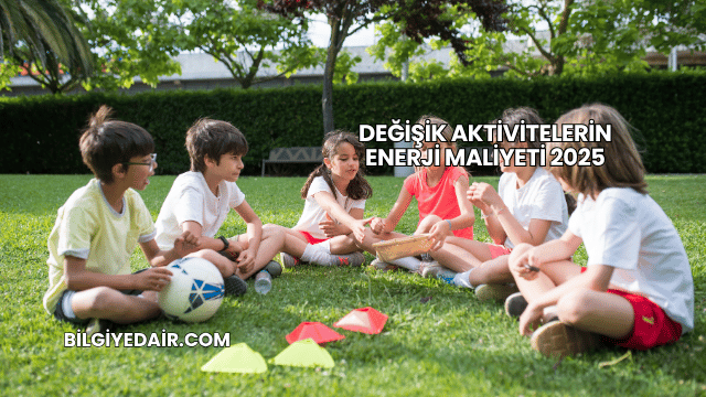 Değişik Aktivitelerin Enerji Maliyeti 2025