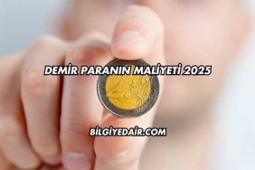 Demir Paranın Maliyeti 2025