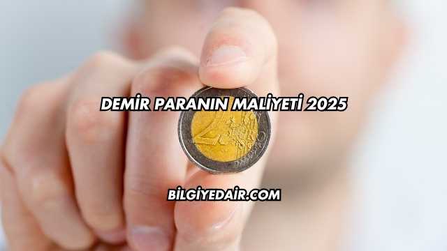 Demir Paranın Maliyeti 2025