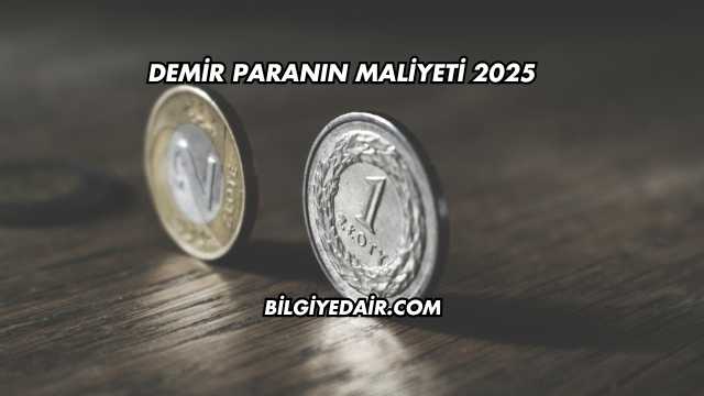 Demir Paranın Maliyeti 2025