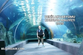 Deniz Akvaryumu Kurulum Maliyeti 2025