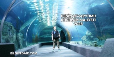 Deniz Akvaryumu Kurulum Maliyeti 2025