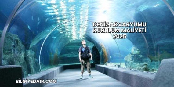 Deniz Akvaryumu Kurulum Maliyeti 2025