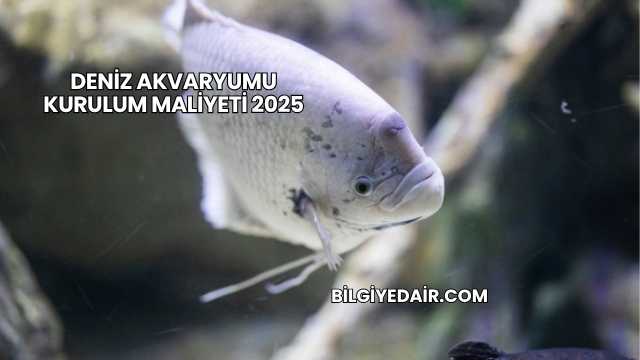 Deniz Akvaryumu Kurulum Maliyeti 2025