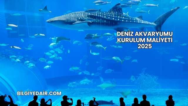 Deniz Akvaryumu Kurulum Maliyeti 2025