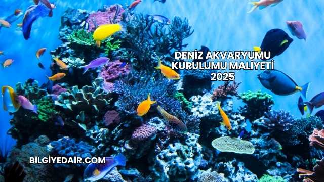Deniz Akvaryumu Kurulumu Maliyeti 2025