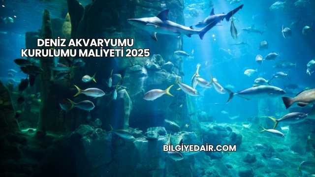 Deniz Akvaryumu Kurulumu Maliyeti 2025
